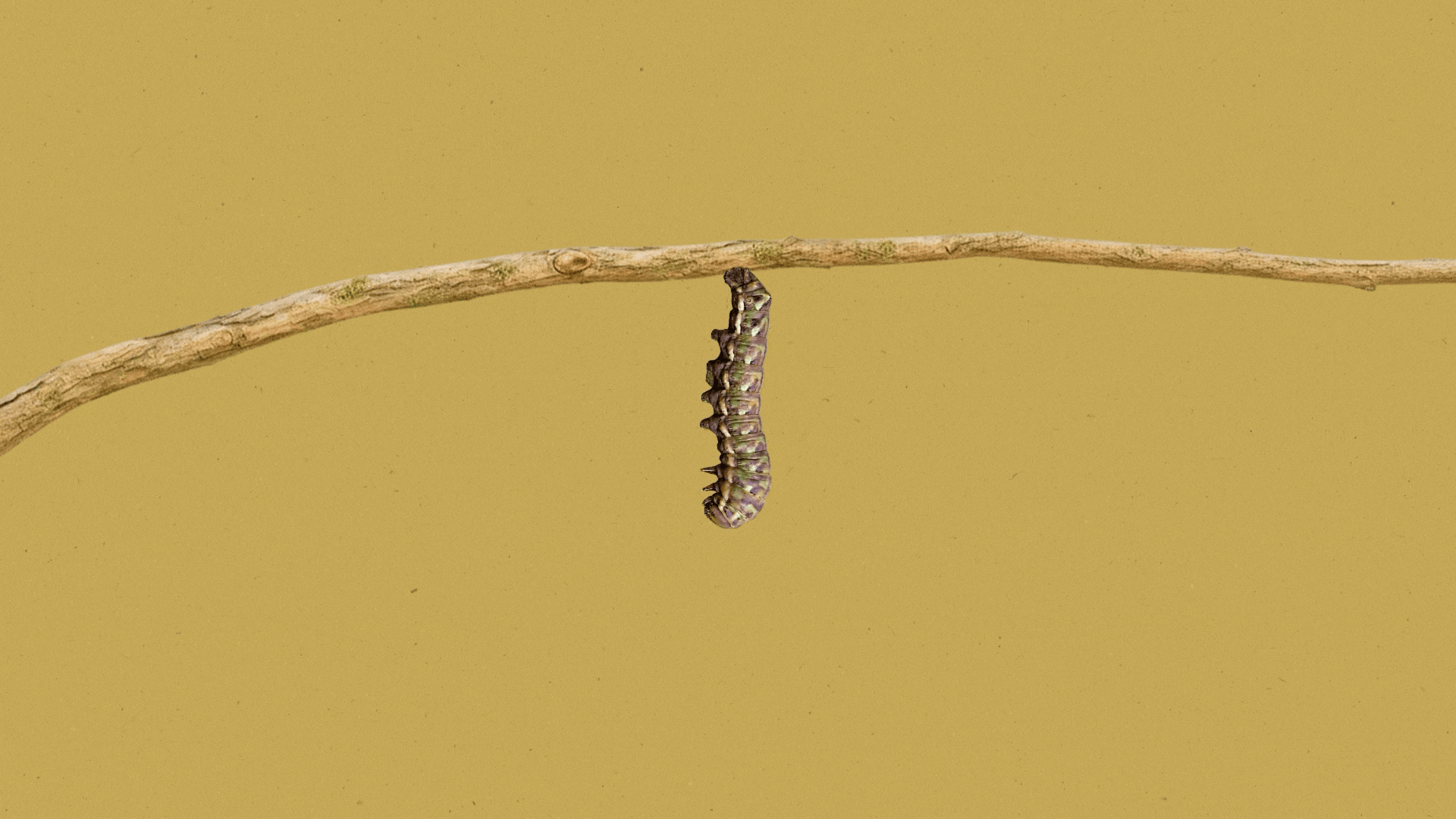 Transformation is a process of refinement, not a shortcut past the fundamentals.