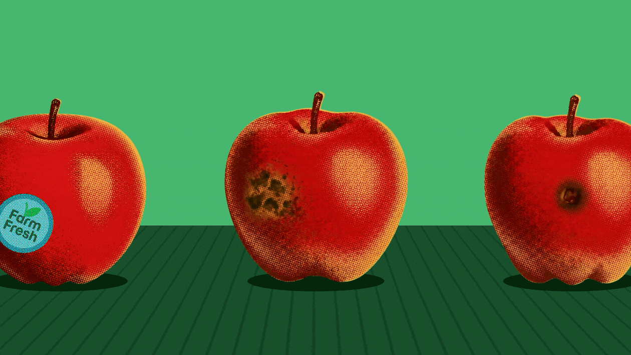 Research can provide cover for not fixing them
